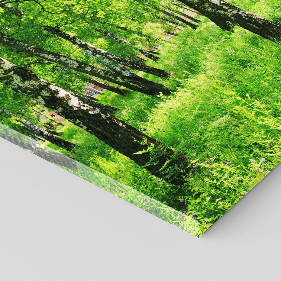 Obraz na płótnie - las, ścieżka, natura