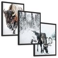 Zestaw obrazy w ramie, plakaty - bizon, łoś, zima - rama czarna