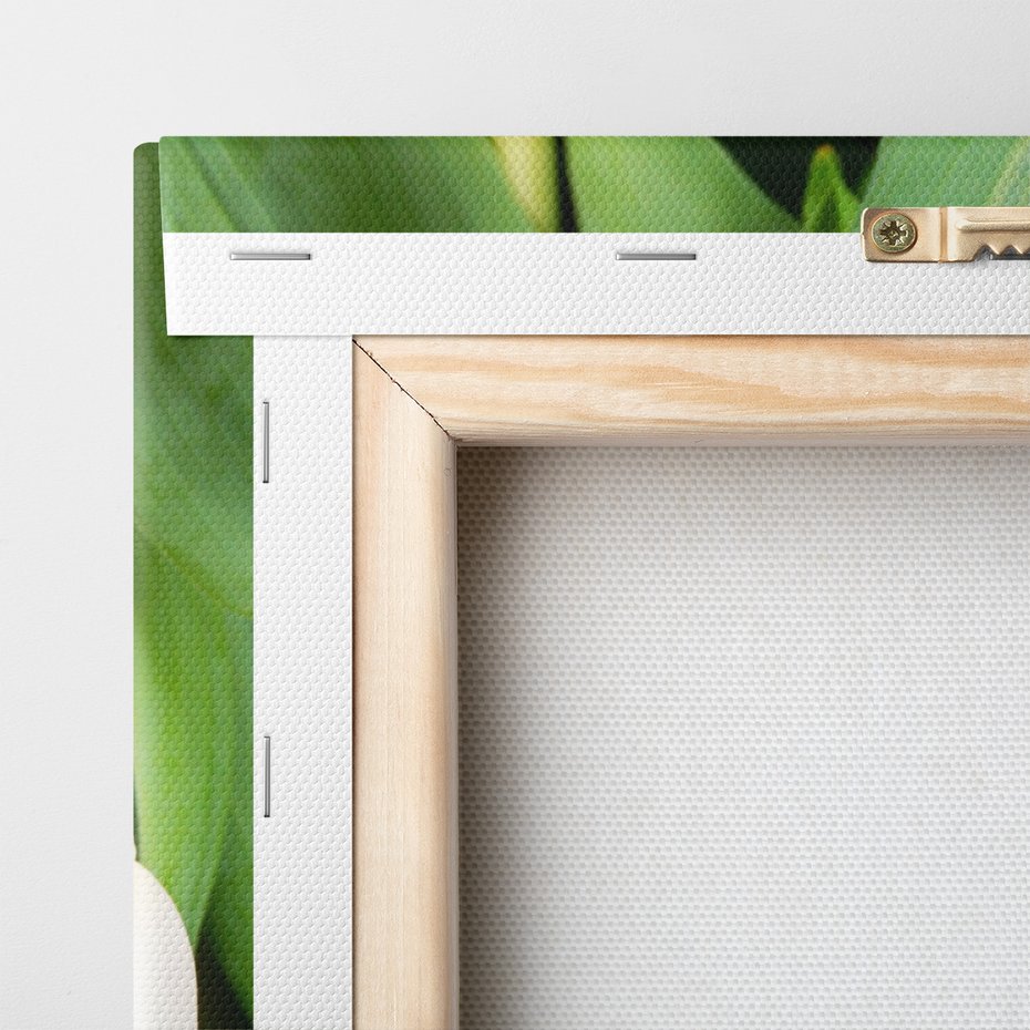 Obraz na płótnie - tulipany, kwiaty, białe