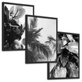 Zestaw obrazy w ramie, plakaty - liście, rośliny, natura - rama czarna