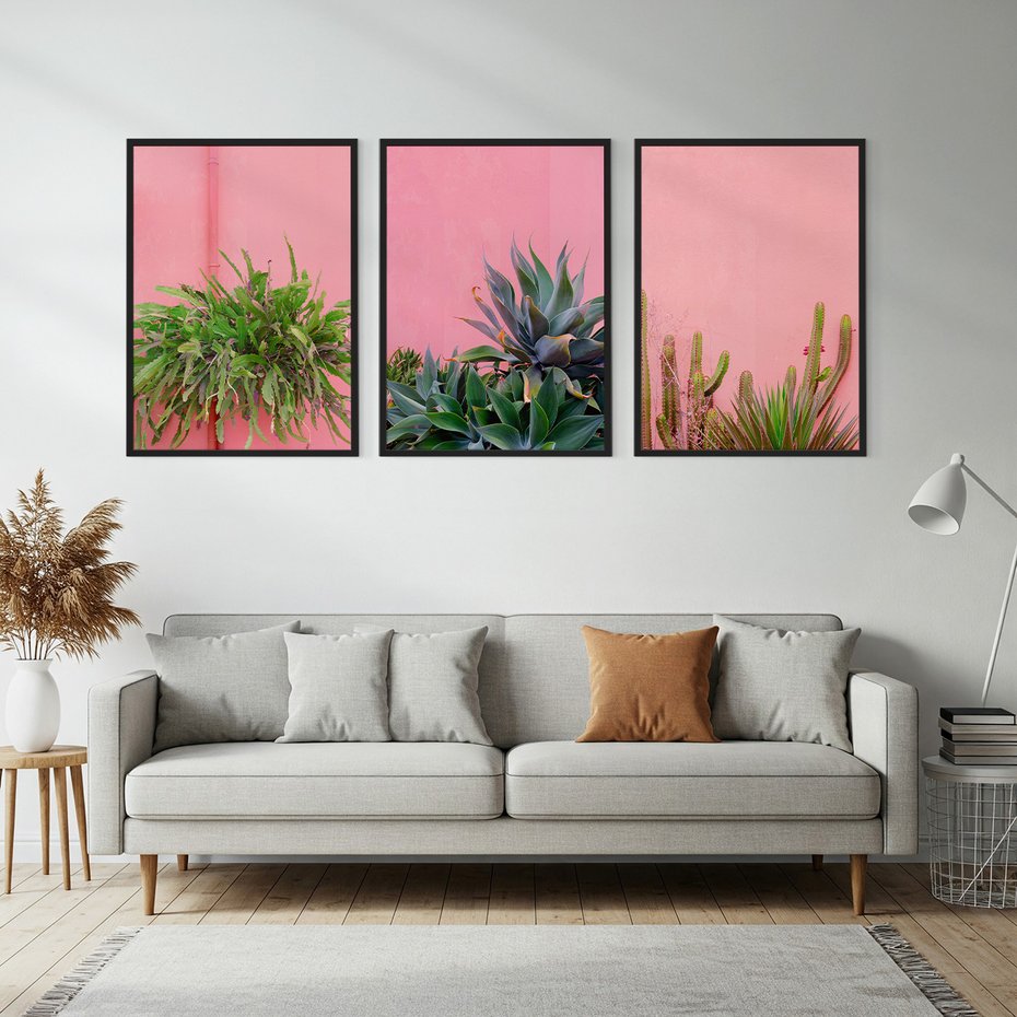 Zestaw obrazy w ramie, plakaty - rośliny, kaktusy, różowy - rama czarna