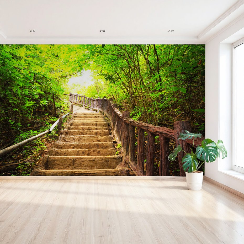 Fototapeta - las, schody, natura