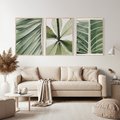 Zestaw obrazy w ramie, plakaty - liście, tropikalne, zielone - rama drewno