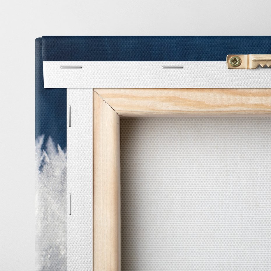 Obraz na płótnie - mróz, kryształki, zima