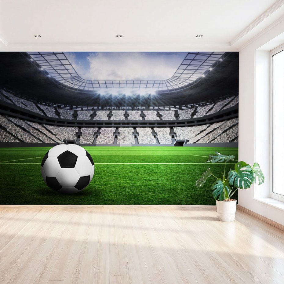 Fototapeta - piłka, stadion, sport