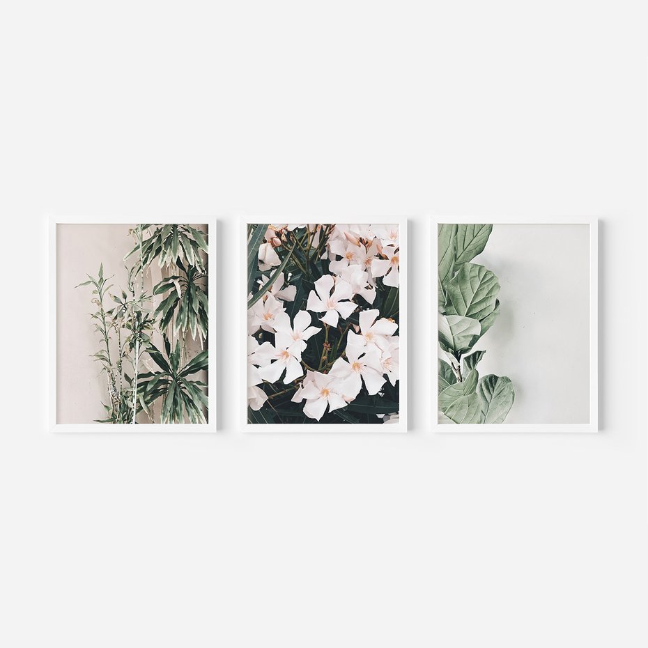 Zestaw obrazy w ramie, plakaty - rośliny, kwiaty, liście - rama biała