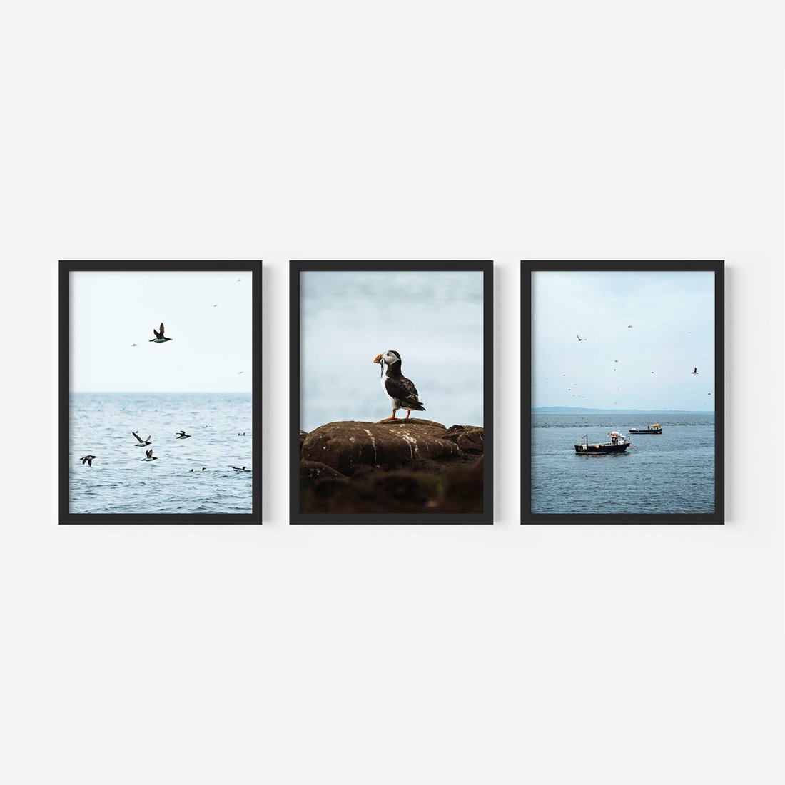 Zestaw obrazy w ramie, plakaty - ptaki, morze, łodzie - rama czarna