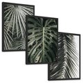 Zestaw obrazy w ramie, plakaty - liście, palmy, tropikalne - rama czarna