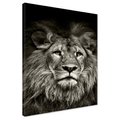Obraz na płótnie - Lew, Portret, Drapieżnik