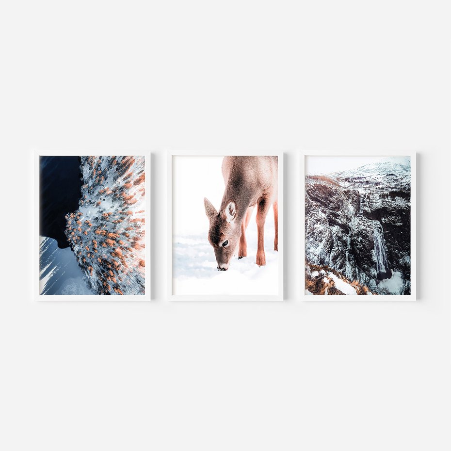 Zestaw obrazy w ramie, plakaty - zima, śnieg, natura - rama biała