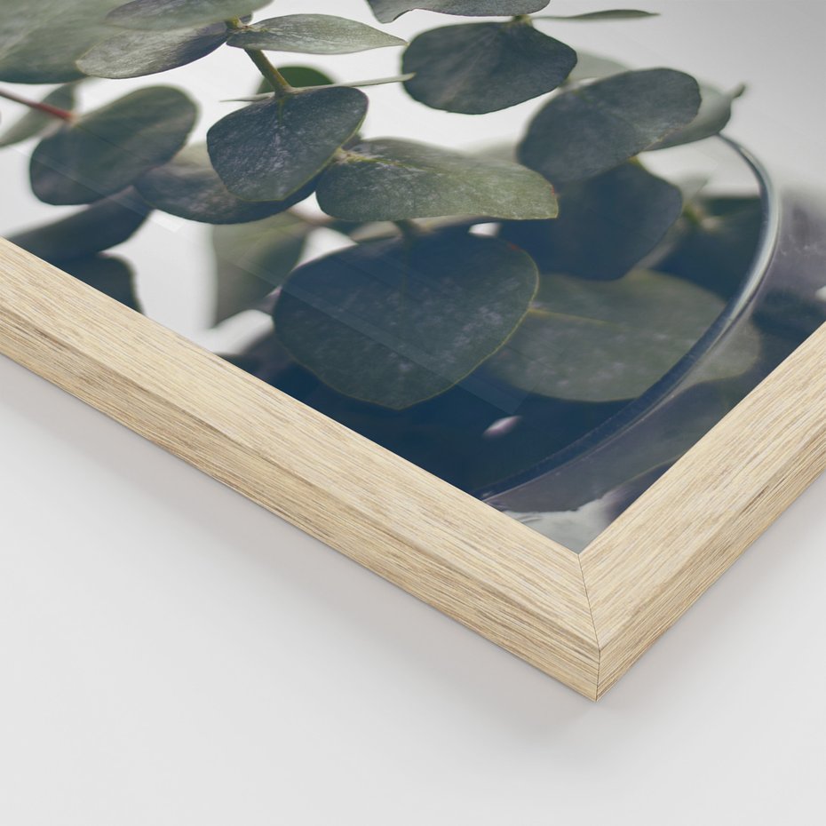 Zestaw obrazy w ramie, plakaty - eukaliptus, liście, gałązki - rama drewno