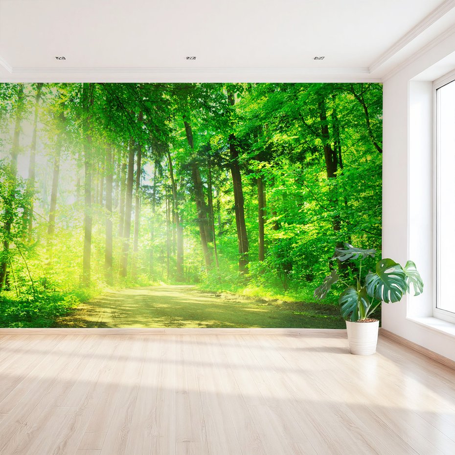 Fototapeta - las, drzewa, przyroda