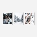 Zestaw obrazy w ramie, plakaty - renifer, zima, śnieg - rama biała