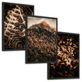 Zestaw obrazy w ramie, plakaty - natura, liście, góry - rama czarna