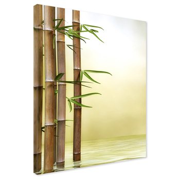 Obraz na płótnie - bambus, liście, woda