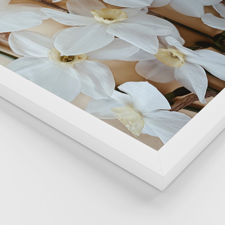 Zestaw obrazy w ramie, plakaty - kwiaty,róże,perfumy - rama biała