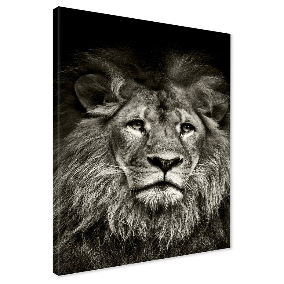 Obraz na płótnie - Lew, Portret, Drapieżnik