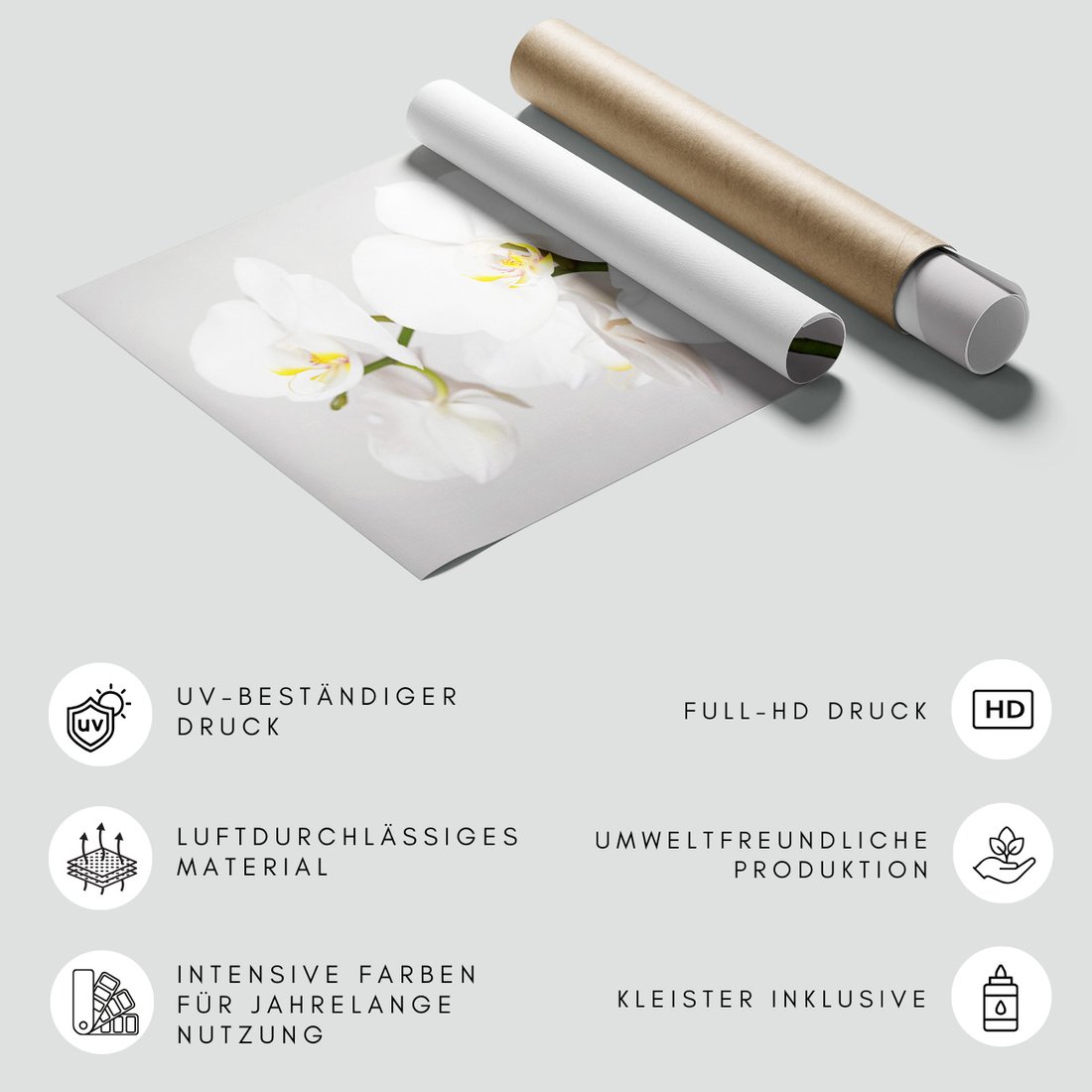 Fototapeta - kwiaty, orchidea, białe,