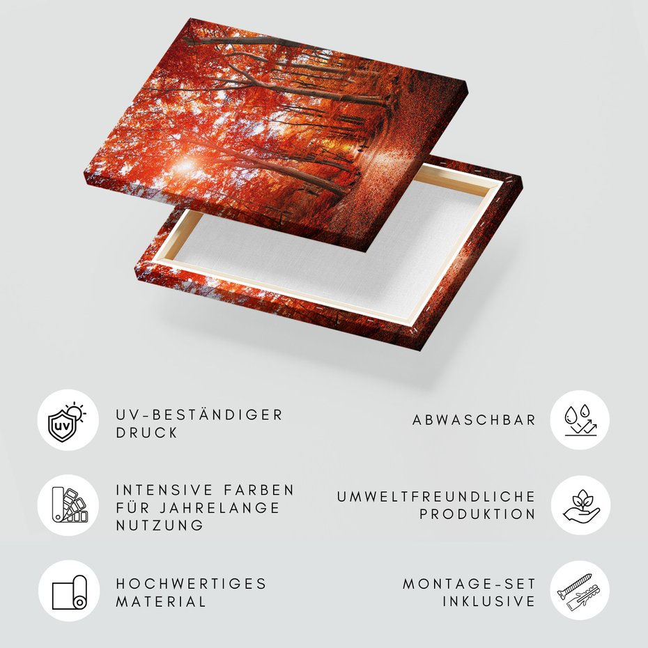 Obraz na płótnie - las, jesień, drzewa