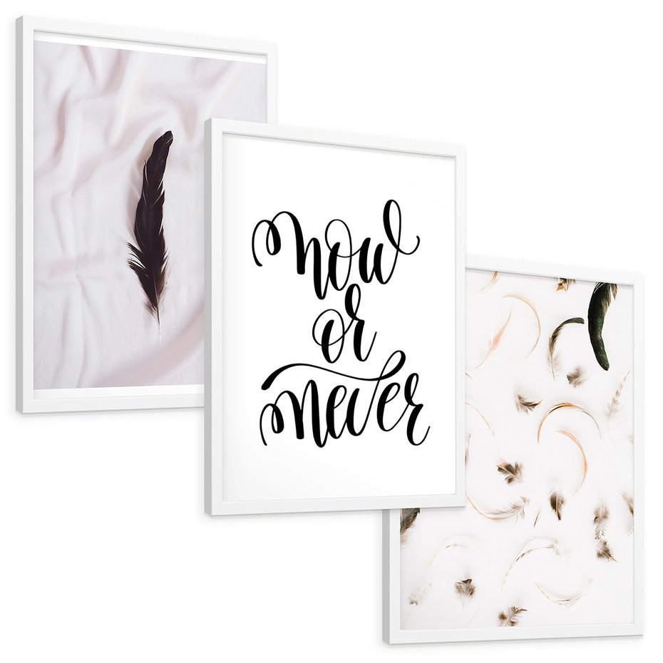 Zestaw obrazy w ramie, plakaty - pióro, minimalizm, tło - rama biała