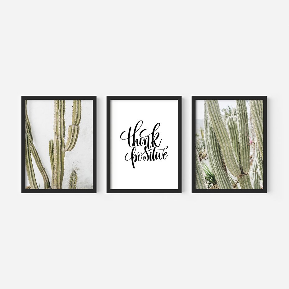 Zestaw obrazy w ramie, plakaty - kaktusy,rośliny,tekst - rama czarna