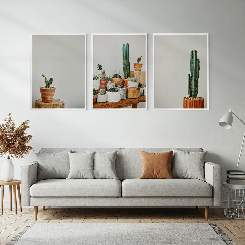 Zestaw obrazy w ramie, plakaty - kaktusy, sukulenty, rośliny - rama biała