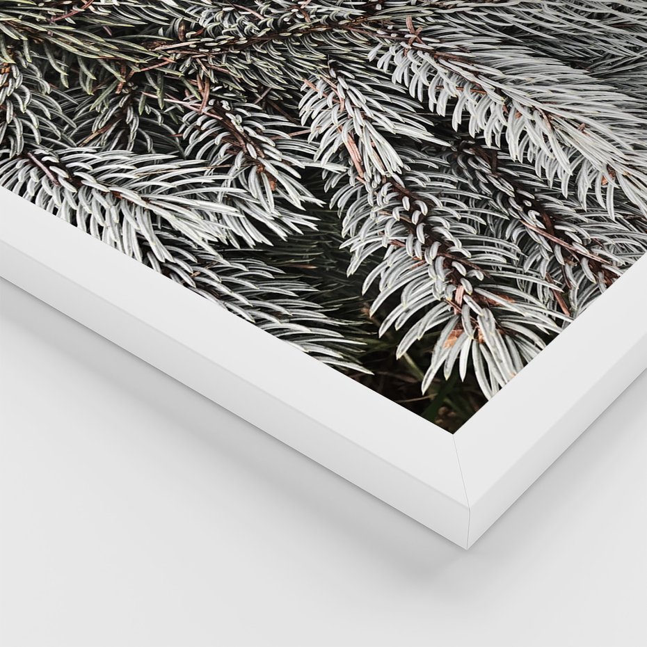 Zestaw obrazy w ramie, plakaty - zima, śnieg, las - rama biała