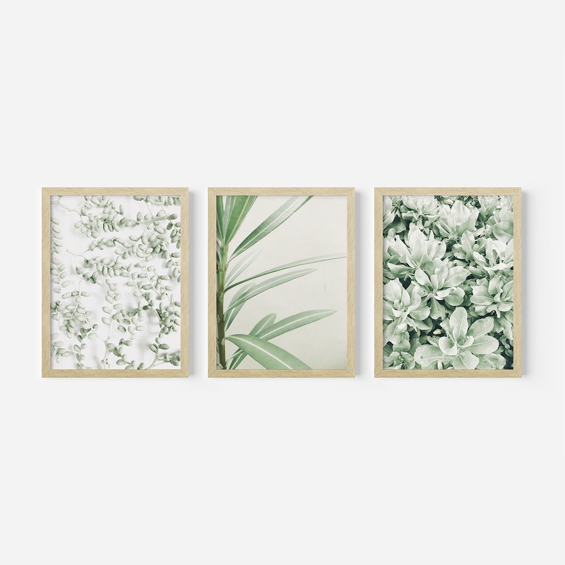 Zestaw obrazy w ramie, plakaty - liście, roślina, gałązka - rama drewno