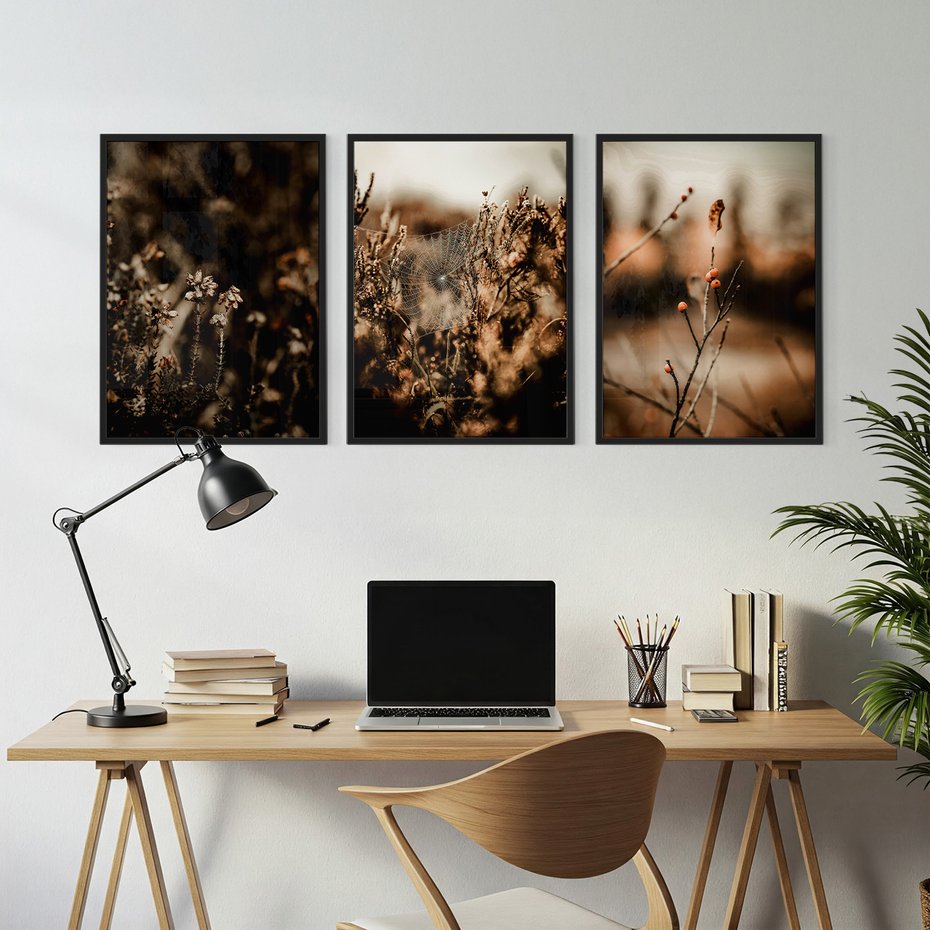 Zestaw obrazy w ramie, plakaty - przyroda, rośliny, natura - rama czarna