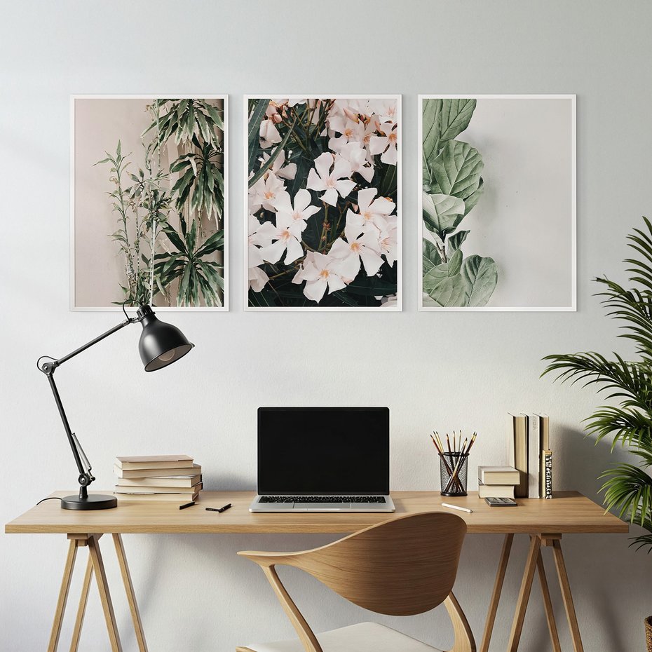 Zestaw obrazy w ramie, plakaty - rośliny, kwiaty, liście - rama biała