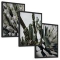 Zestaw obrazy w ramie, plakaty - kaktus, sukulent, roślina - rama czarna