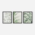 Zestaw obrazy w ramie, plakaty - liście, roślina, gałązka - rama czarna