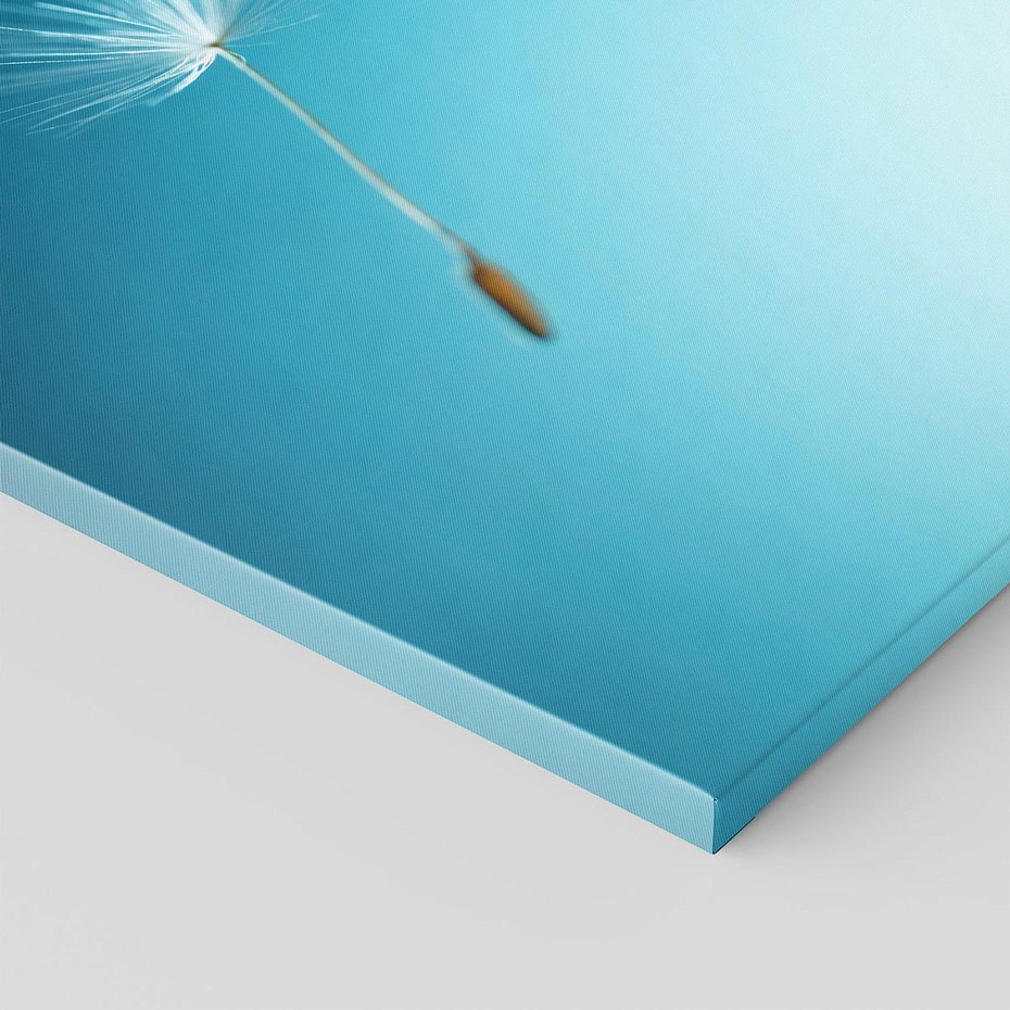 Obraz na płótnie - dmuchawiec, nasiona, natura