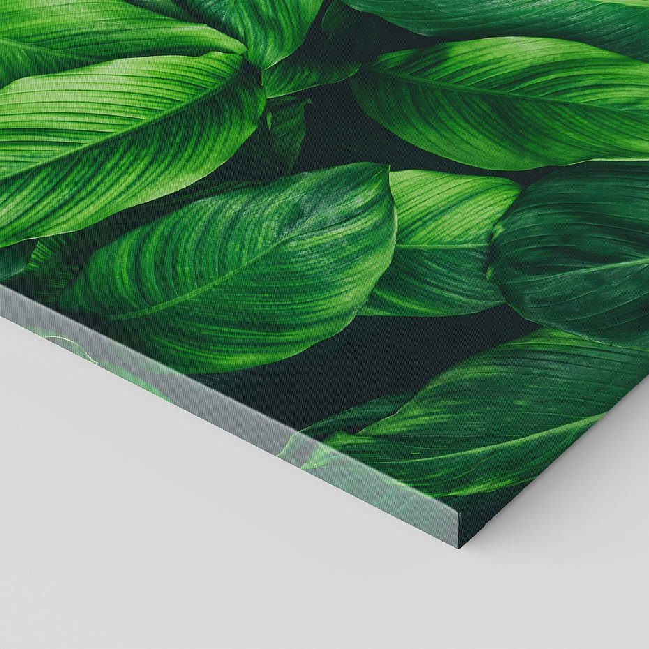 Obraz na płótnie - liście, zieleń, natura