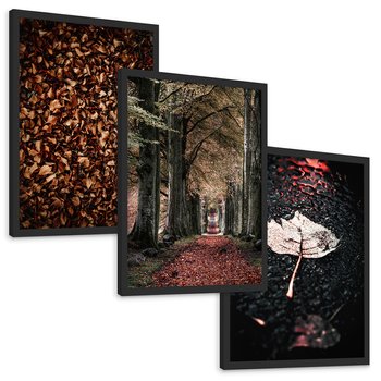 Zestaw obrazy w ramie, plakaty - liście, drzewa, jesień - rama czarna