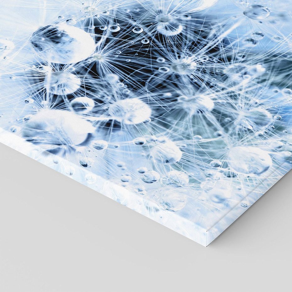 Obraz na płótnie - dmuchawiec, krople, natura
