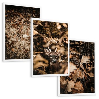 Zestaw obrazy w ramie, plakaty - liście,jeleń,las - rama biała