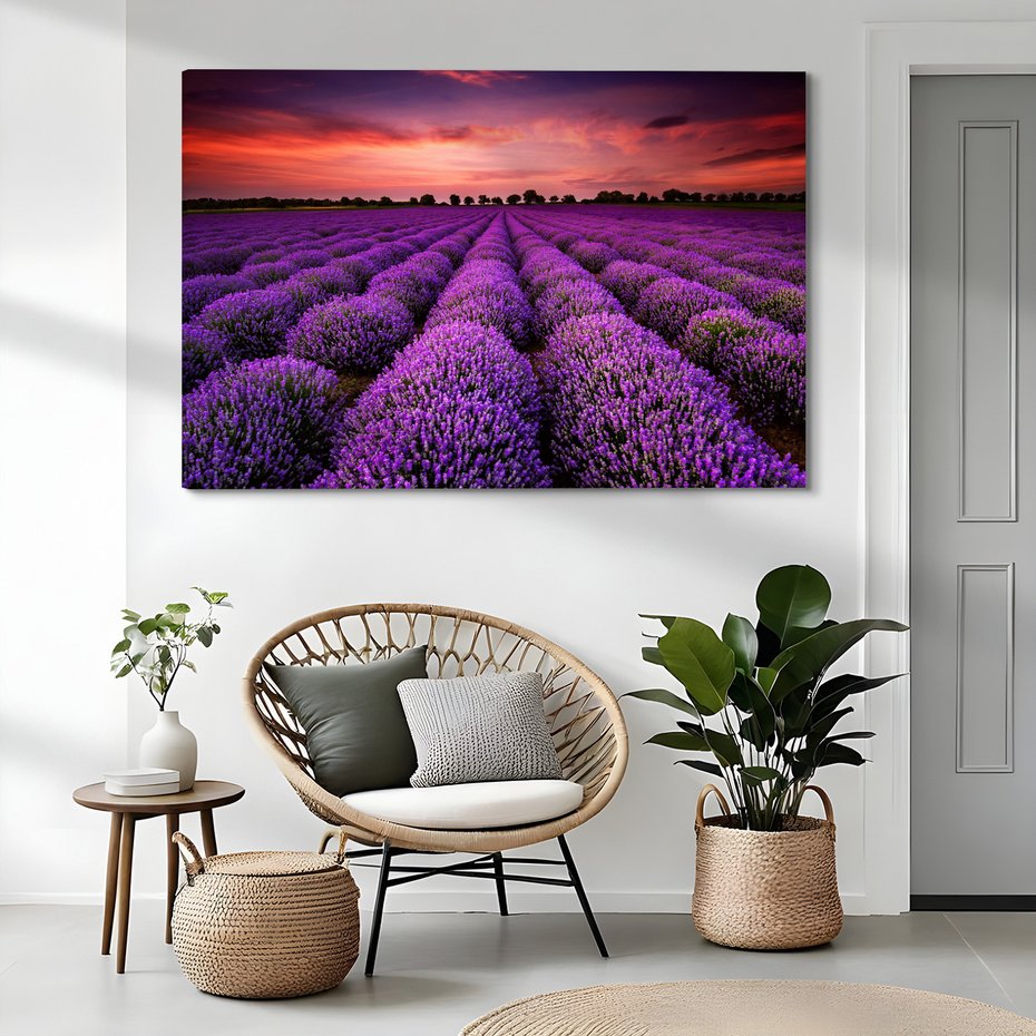 Obraz na płótnie - lawenda, pole, zachód słońca