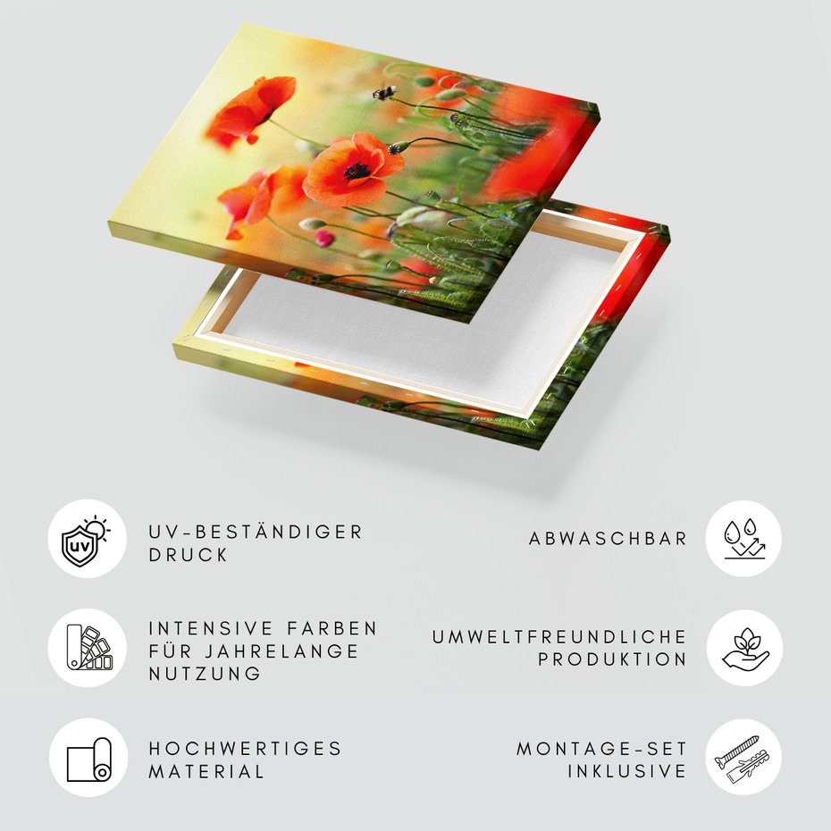 Obraz na płótnie - maki, kwiaty, lato