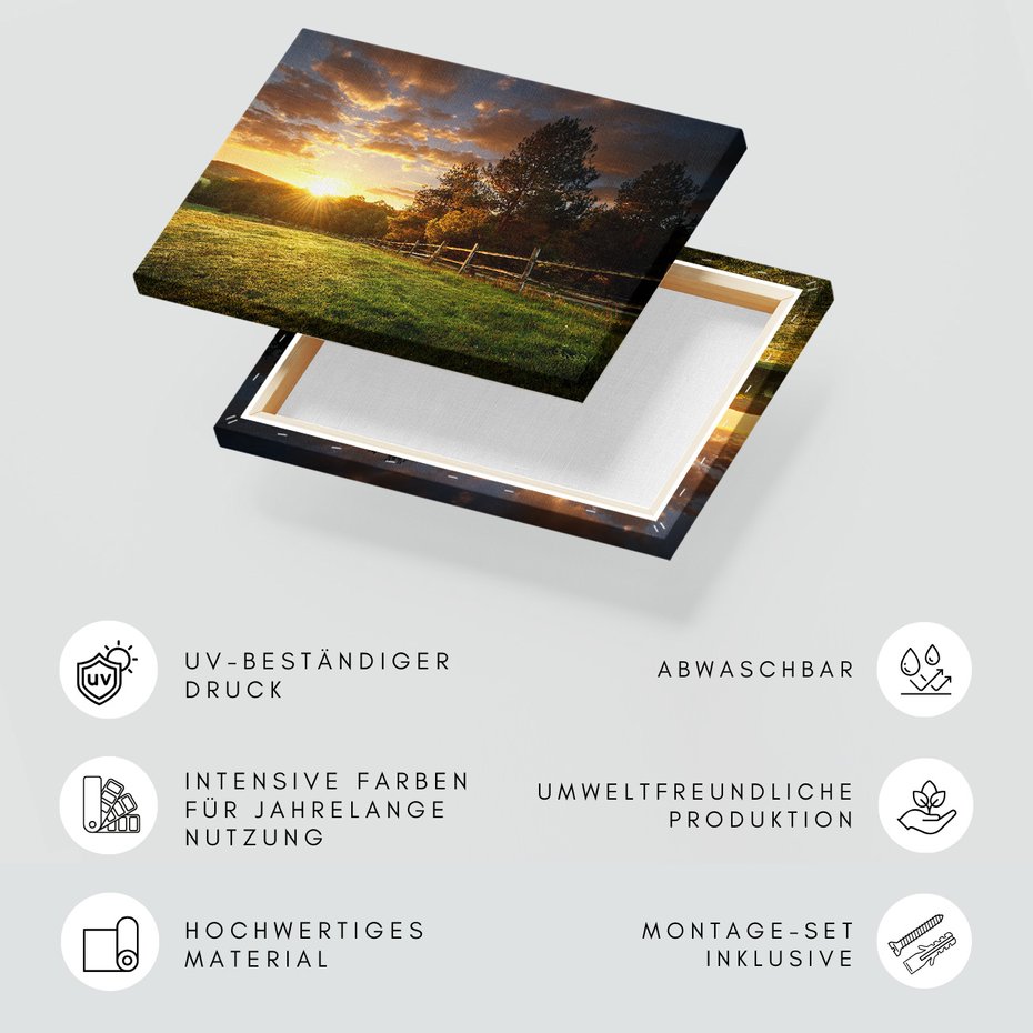 Obraz na płótnie - zachód słońca, trawa, drzewa