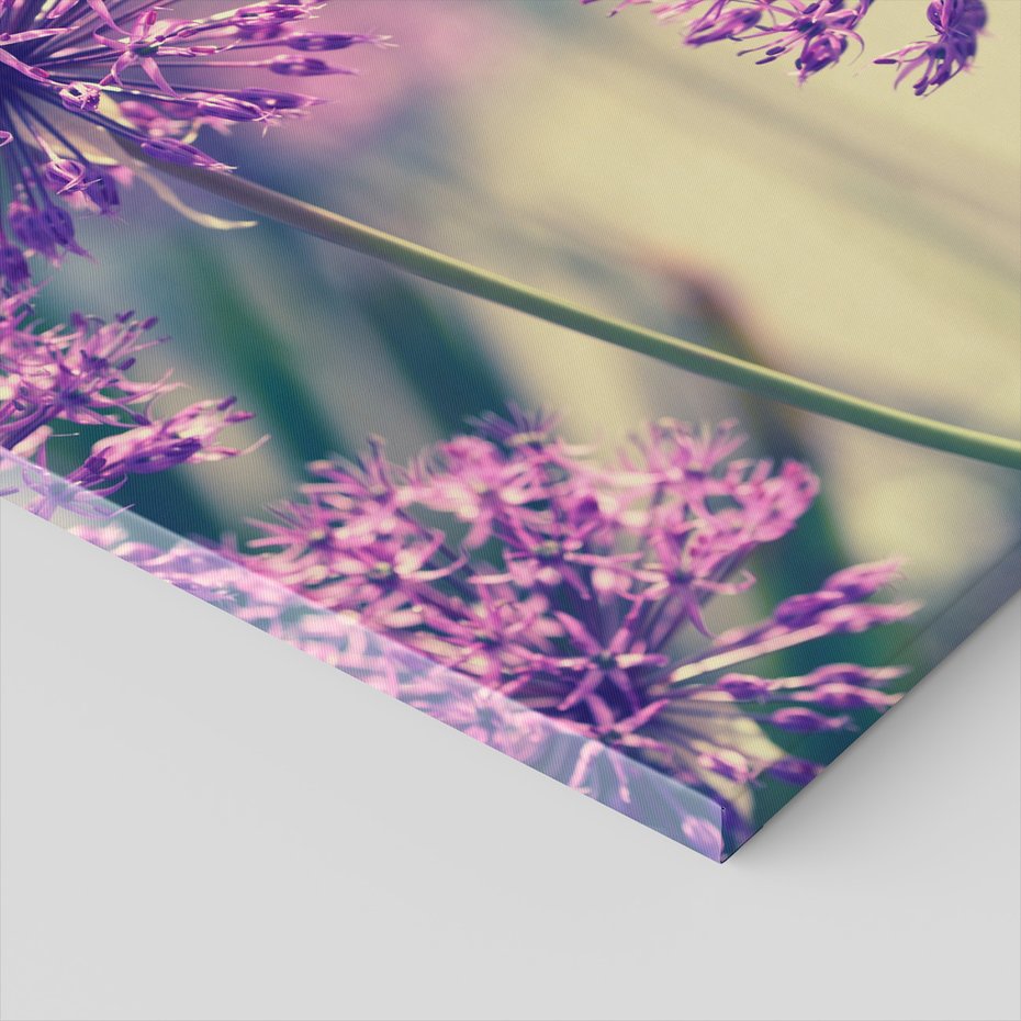 Obraz na płótnie - kwiaty, fioletowe, zbliżenie