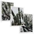 Zestaw obrazy w ramie, plakaty - kaktus, sukulent, roślina - rama biała