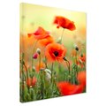 Obraz na płótnie - maki, kwiaty, lato