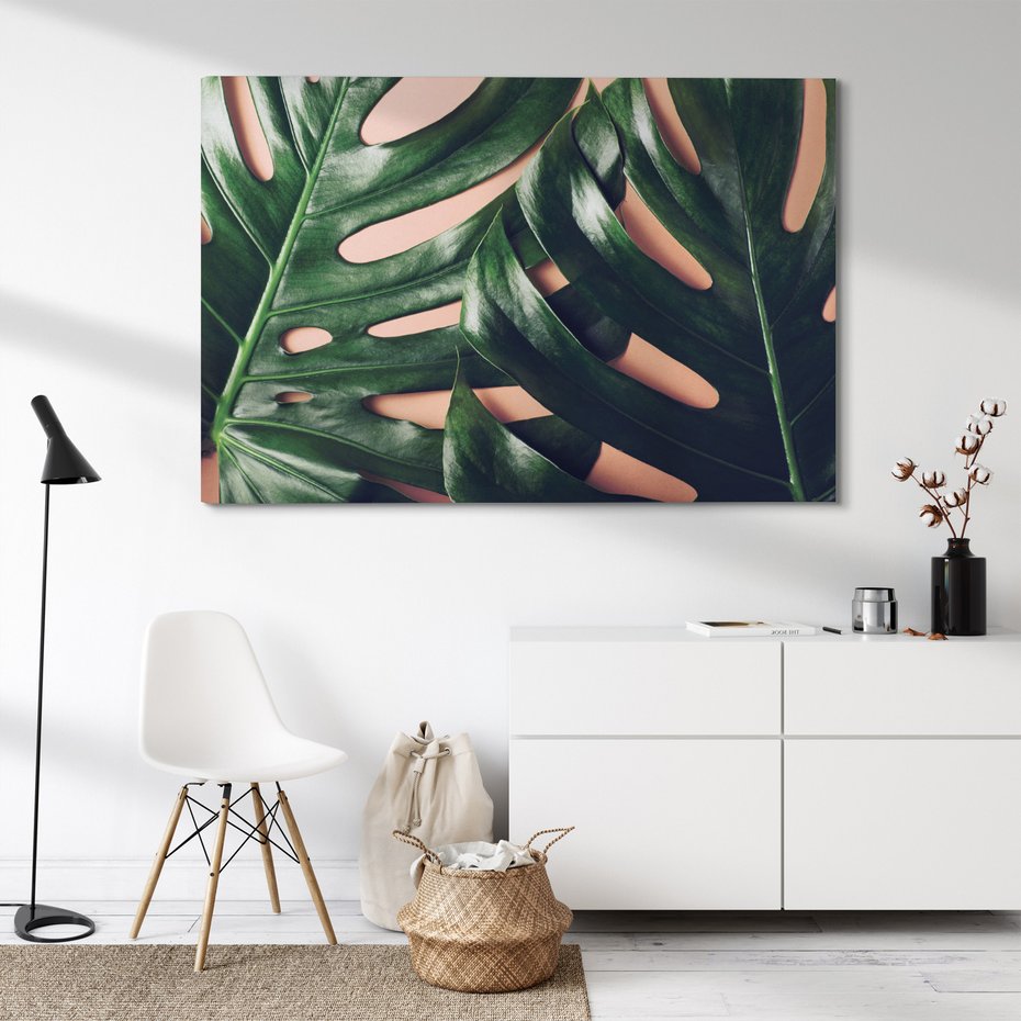 Obraz na płótnie - liście, monstera, roślina