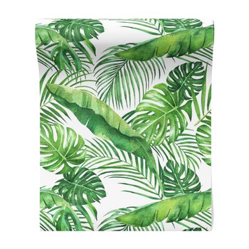 Tapeta - liście, tropiki, natura