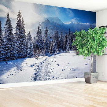 Fototapeta - zima, śnieg, góry