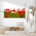 Obraz na płótnie - maki, kwiaty, lato