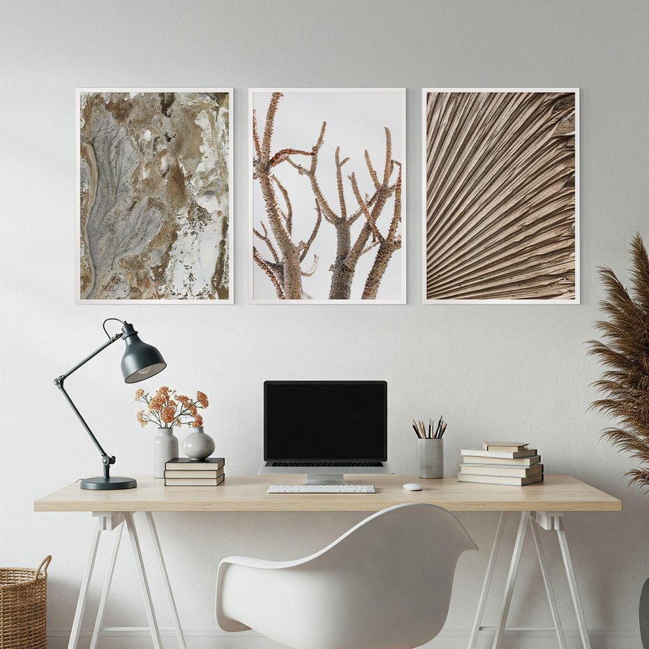 Zestaw obrazy w ramie, plakaty - abstrakcja, roślina, natura - rama biała