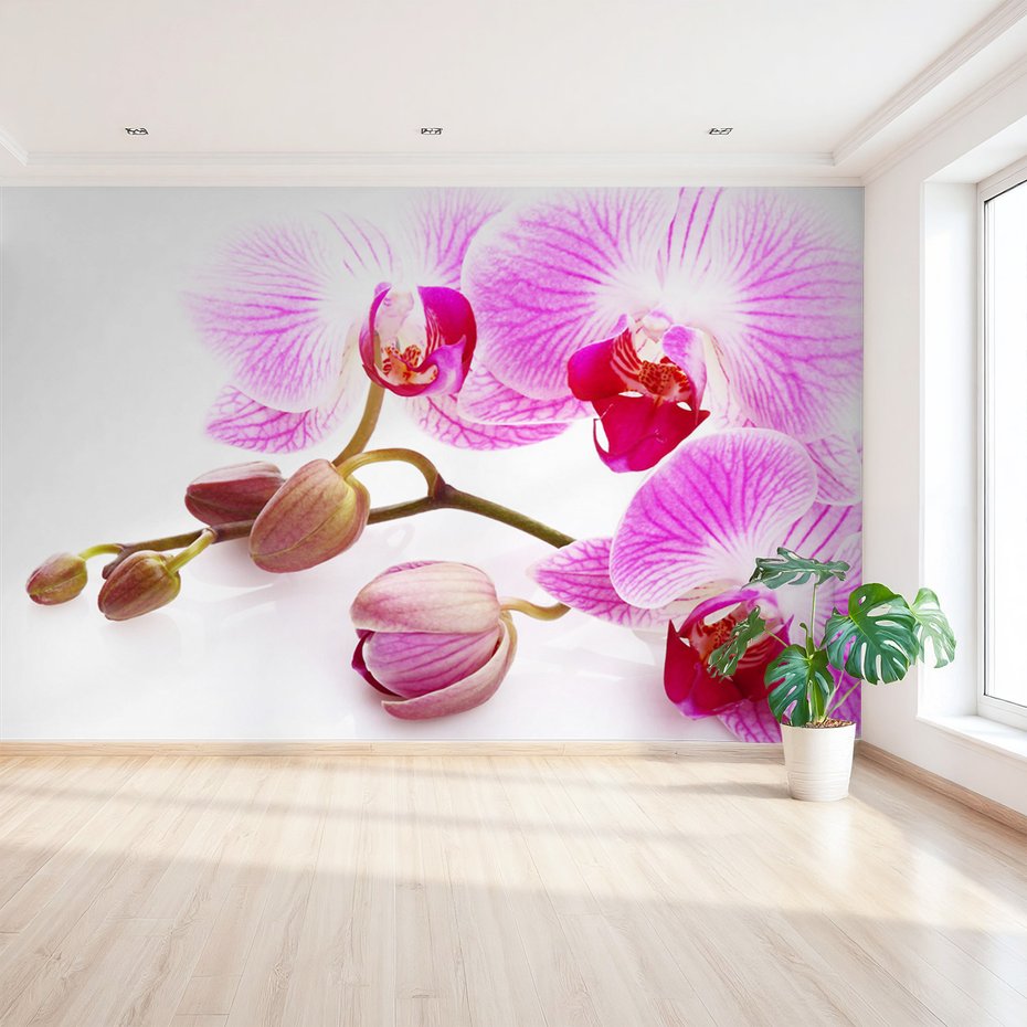 Fototapeta - kwiaty, orchidee, pąki