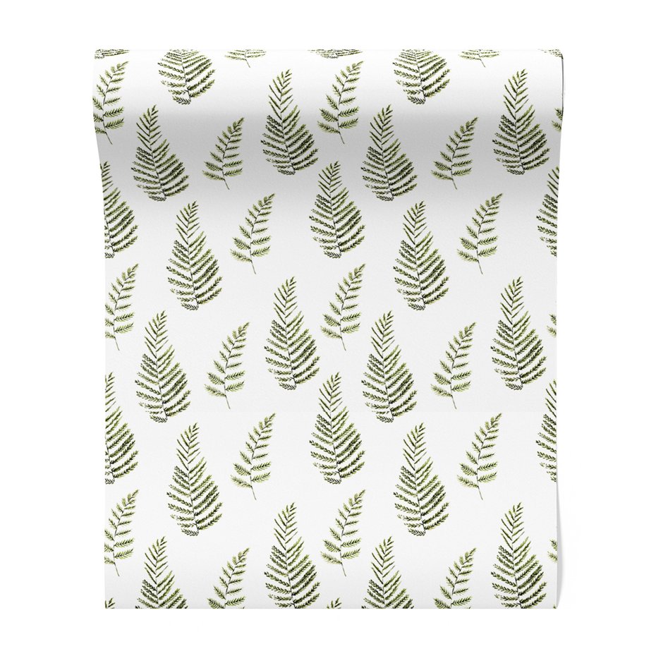 Tapeta - liście, paproć, natura